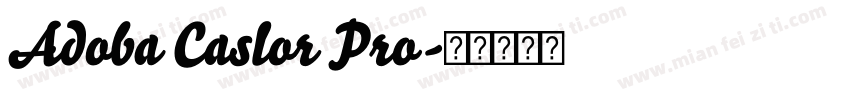 Adoba Caslor Pro字体转换